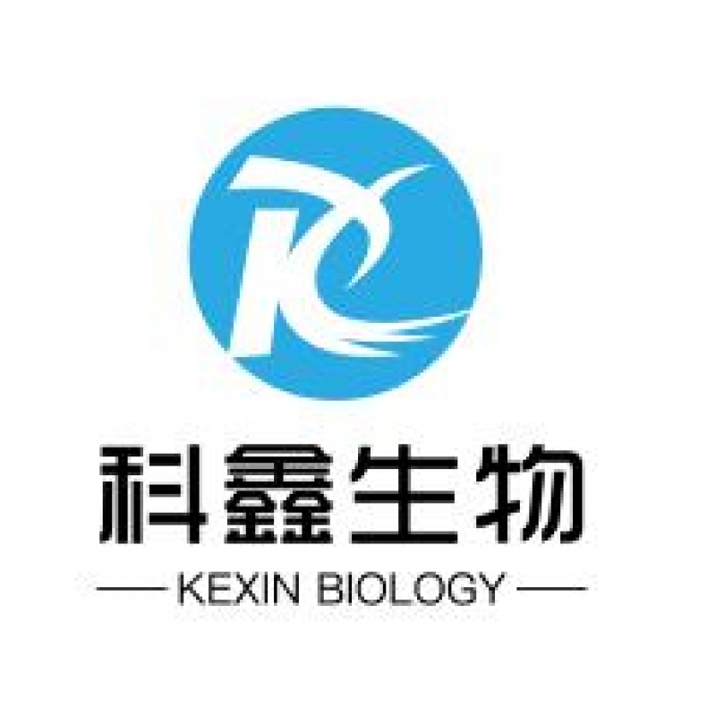 二裂酵母发酵产物溶胞产物